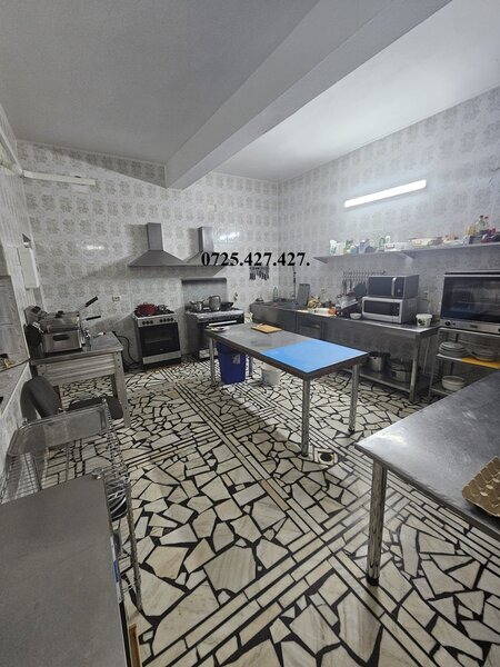 Dunavatu de Jos, vanzare pensiunea Solinia+restaurant+piscina+debarcader.